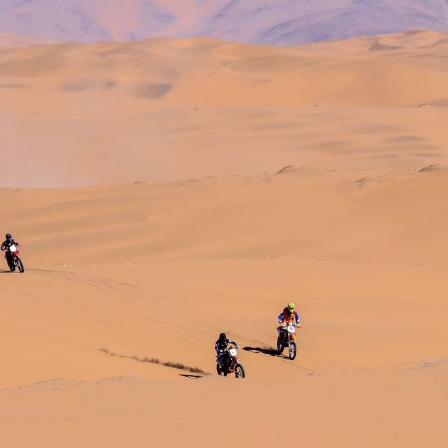 Gall-2023-Etapa-II-014