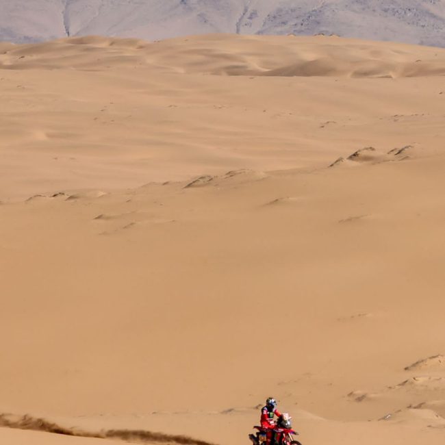 Gall-2023-Etapa-II-018