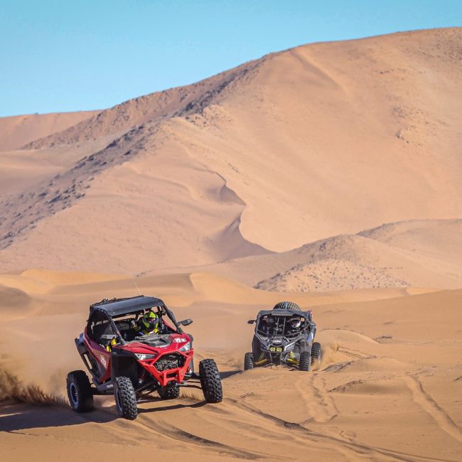 Gall-2023-Etapa-II-021